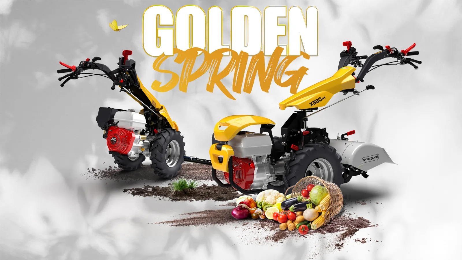 PROMO_PASQUALI_Golden Spring_2025